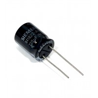 220uF X 100V Siemens